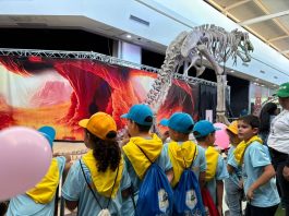Más de 53 mil zulianos han disfrutado del Plan Vacacional Comunitario Ciudad Ríe 2026