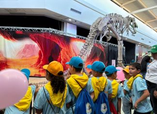 Más de 53 mil zulianos han disfrutado del Plan Vacacional Comunitario Ciudad Ríe 2026