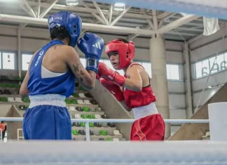 JUEGOS SURAMERICANOS: Dos narices chatas criollos a semifinales