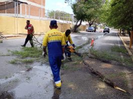 Alcalde Di Martino: Afectaciones por lluvias disminuyeron en comparación con meses pasados