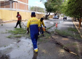 Alcalde Di Martino: Afectaciones por lluvias disminuyeron en comparación con meses pasados