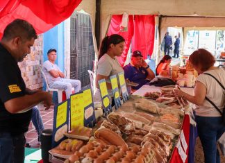 Madres marabinas: Los Mercados de Di Martino respaldan el hogar y el bolsillo…