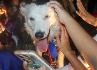 Tsunami estrenó el Parque Canino reinaugurado por la Alcaldía en el Ana María Campos