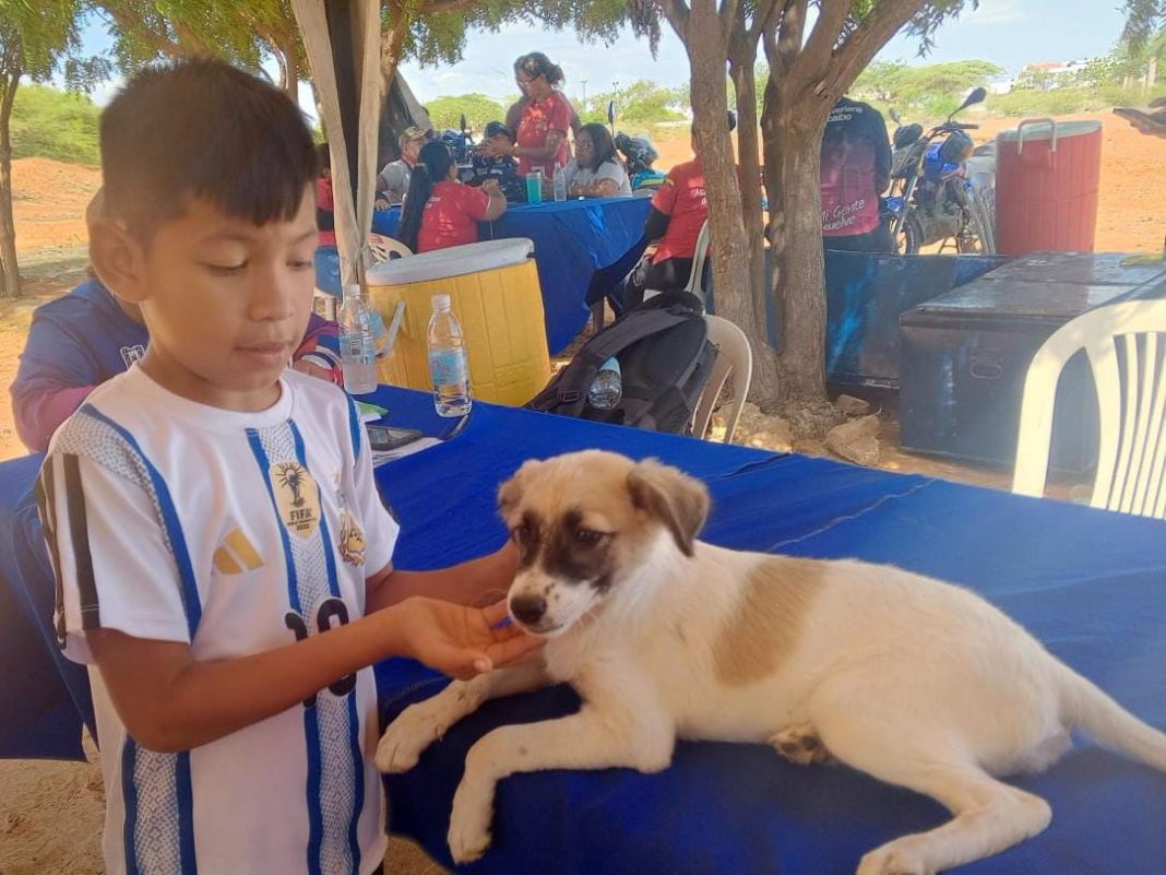 Concejo Municipal inició consulta pública de ordenanza para la protección animal