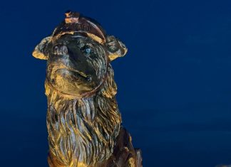 Alcalde Di Martino: Es un acto de heroísmo rescatar animales