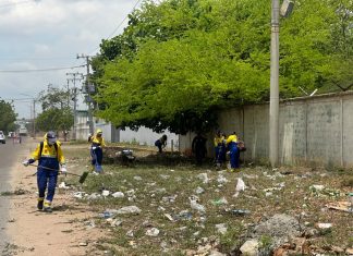 Cercano a Mercamara: Despliegan jornada de saneamiento ambiental en el distribuidor La Chinita