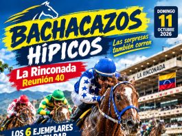 ¡BACHACAZOS HÍPICOS! Las seis sorpresas de El Pepazo Hípico para La Rinconada Bachacazos hípicos en La Rinconada