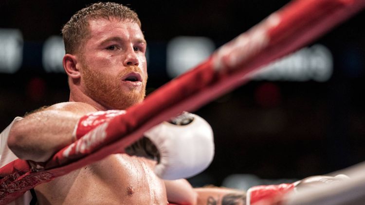 Vuelve «Canelo» en Riad en cartelera donde también peleará el zuliano Lorenzo Parra