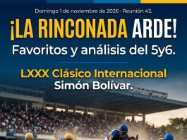 Domingo 1 de noviembre de 2026 · Reunión 43