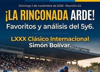 ¡La Rinconada arde con el Simón Bolívar! El análisis de El Pepazo Hípico para las 13 carreras y el 5y6 nacional Domingo 1 de noviembre de 2026 · Reunión 43