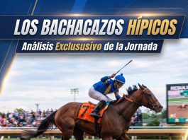 Los Bachacazos Hipicos El Pepazo Diario Digital
