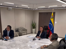Venezuela ratificó en la OPEP respaldo a la estabilidad del mercado mundial