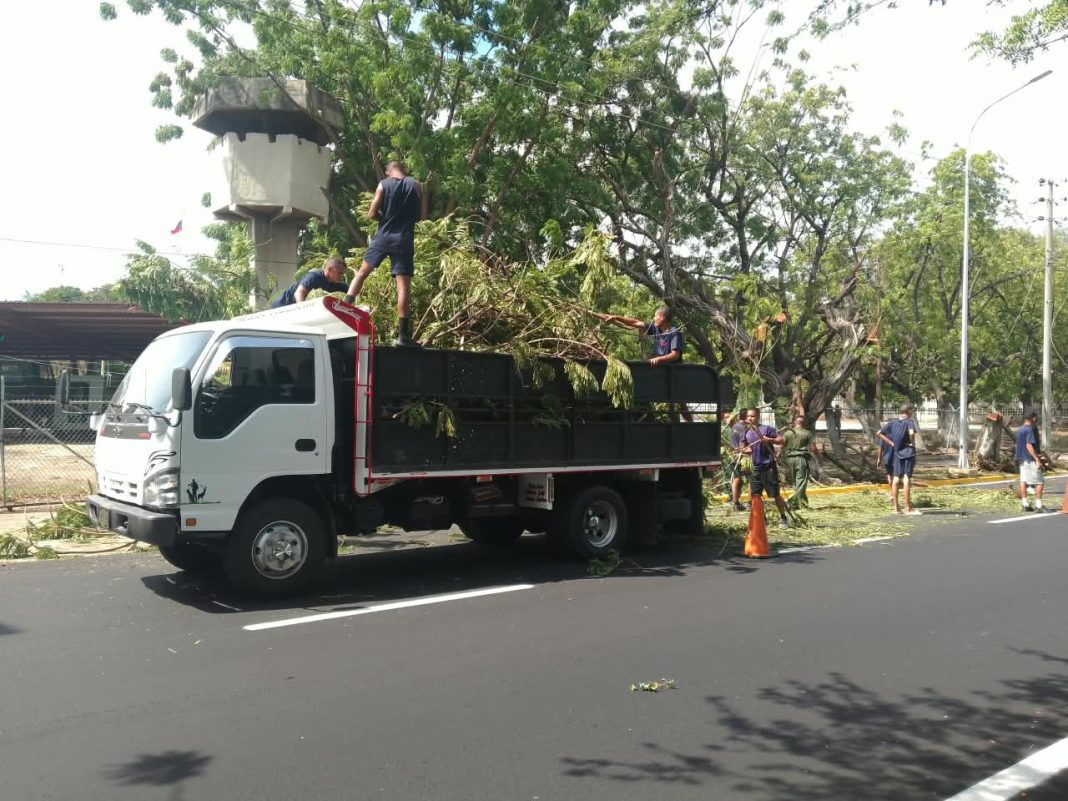 Rector ambiental insta a Corpoelec a mesa de trabajo para coordinar poda en Maracaibo