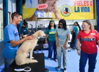 Presidenta Delcy reivindicó el derecho de la fauna a vivir en paz en el Día Mundial de los Animales