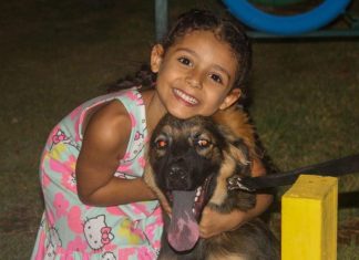 Establece multas hasta 2.500 UT: Alcaldía de Maracaibo impondrá sanciones severas contra el maltrato animal