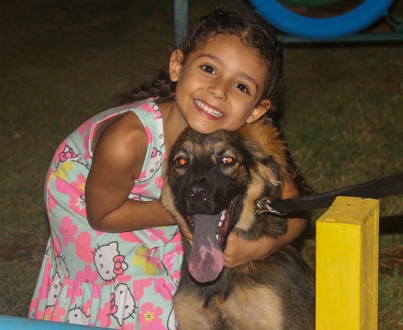 Establece multas hasta 2.500 UT: Alcaldía de Maracaibo impondrá sanciones severas contra el maltrato animal
