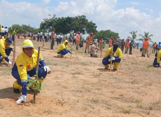 IV Encuentro Motor Forestal: Ministro de Ecosocialismo Nelson Rodríguez lideró jornada de siembra en Vereda del Lago