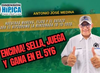 ¡A ligar nuestras orientaciones hípicas para Valencia, Santa Anita Park y La Rinconada!